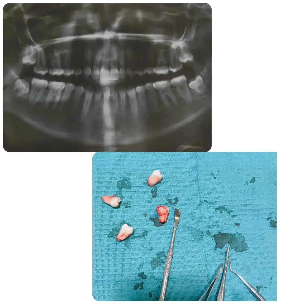 Dental Image 1