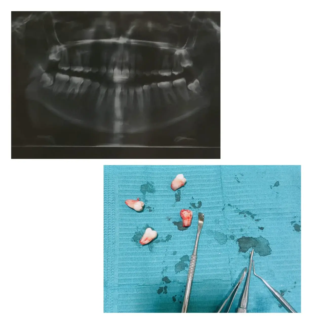 Dental Image 1